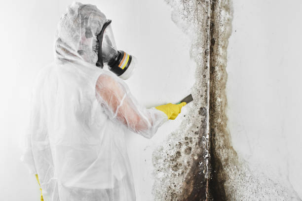 Water Damage Restoration in Mooresville, IN