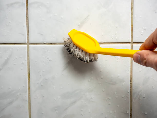 Reliable Mooresville, IN Mold Removal Solutions