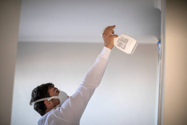 Best Mold Removal and Inspection  in Mooresville, IN