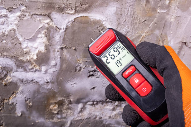 Best Professional Mold Removal  in Mooresville, IN