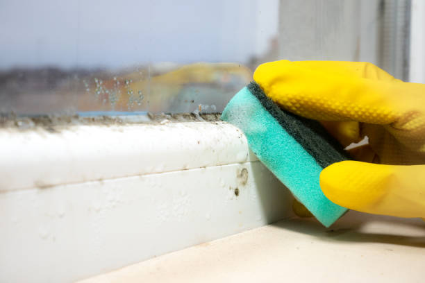 Best Crawl Space Mold Removal  in Mooresville, IN