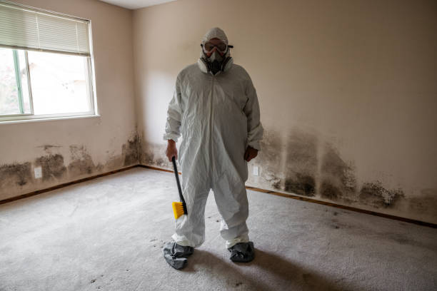 Mold Removal and Inspection in Mooresville, IN