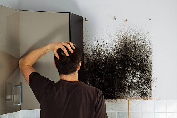 Home Mold Removal in Mooresville, IN